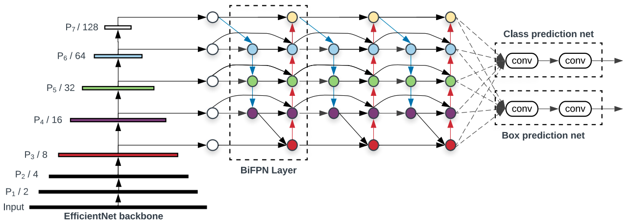 EfficientDet Model