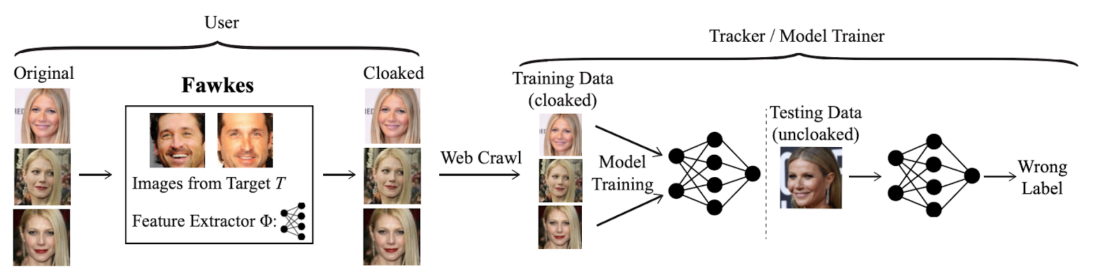 The Fawkes System