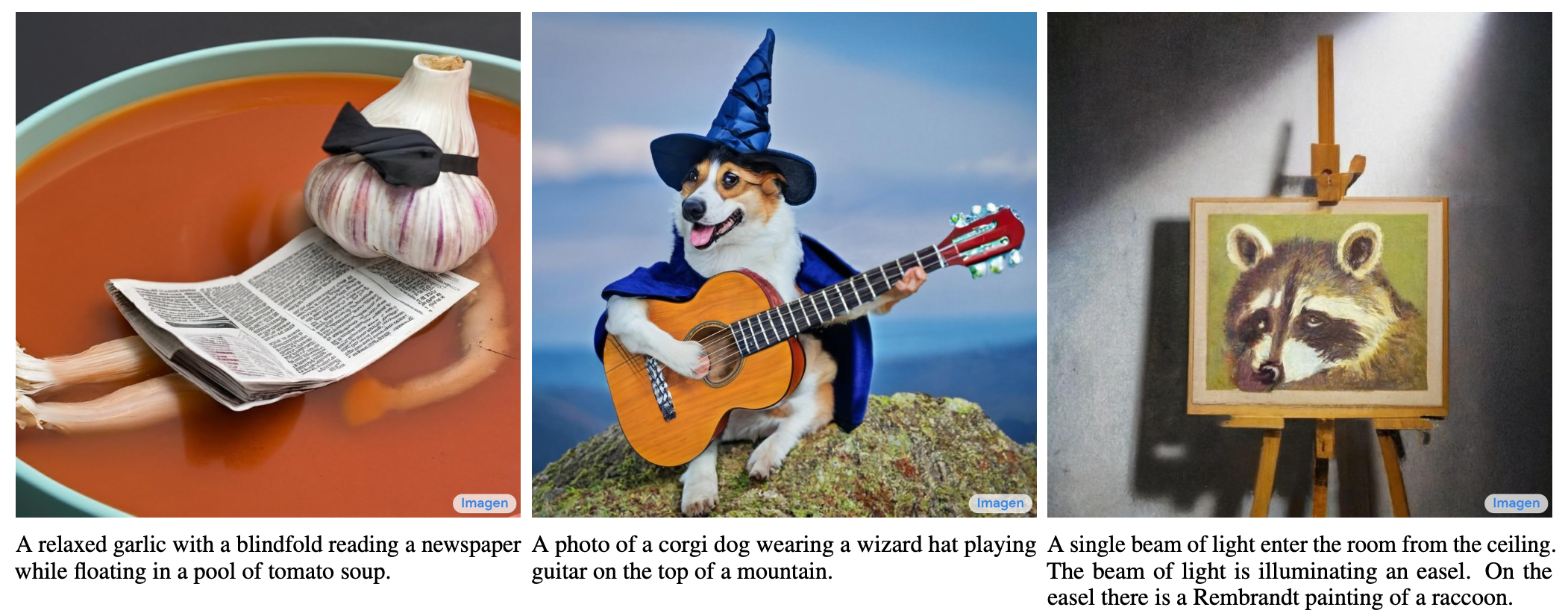 Imagen Generation Examples