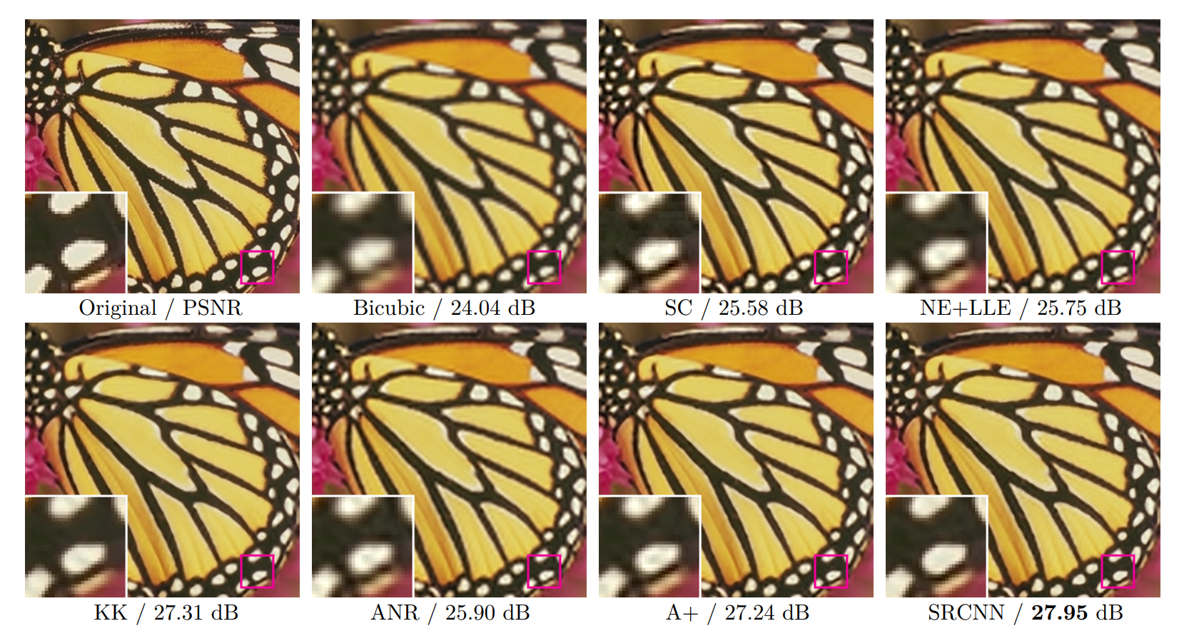 fig1