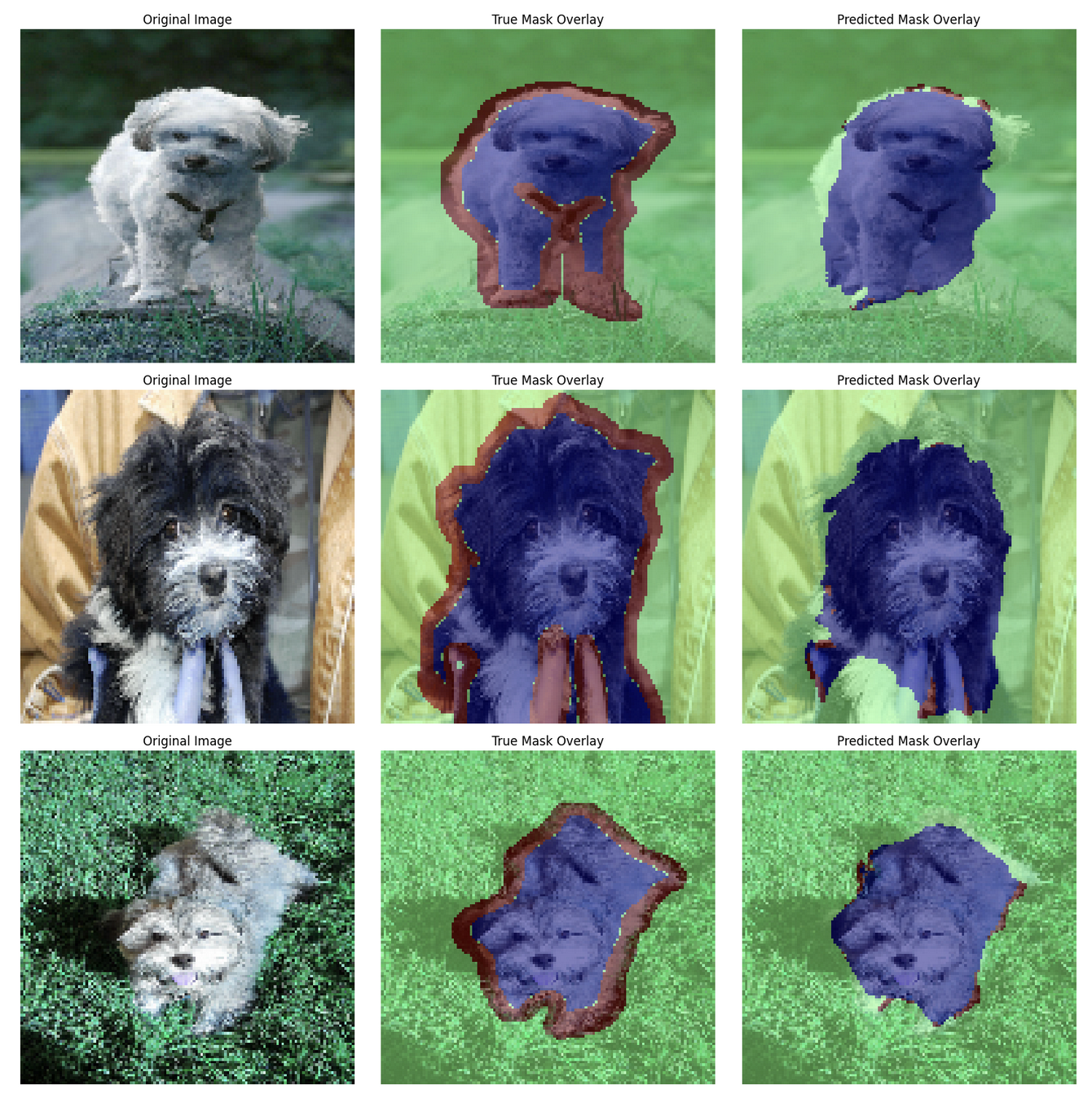 Custom U-Net Detection Samples