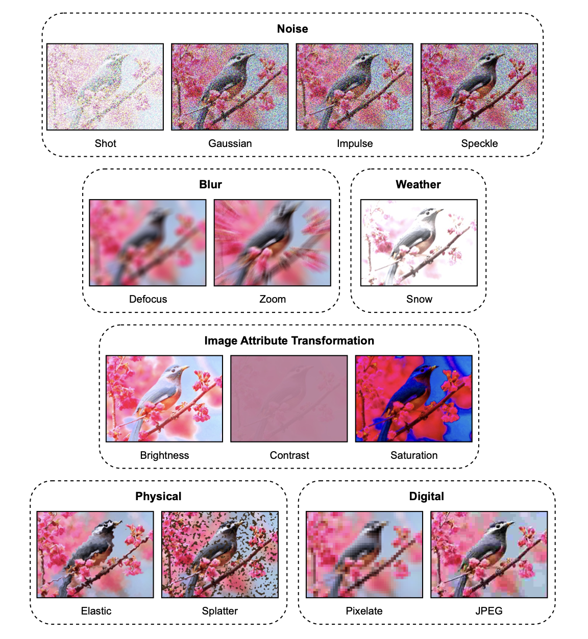 Augmentation Techniques