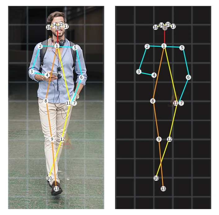 Graphical Skeleton