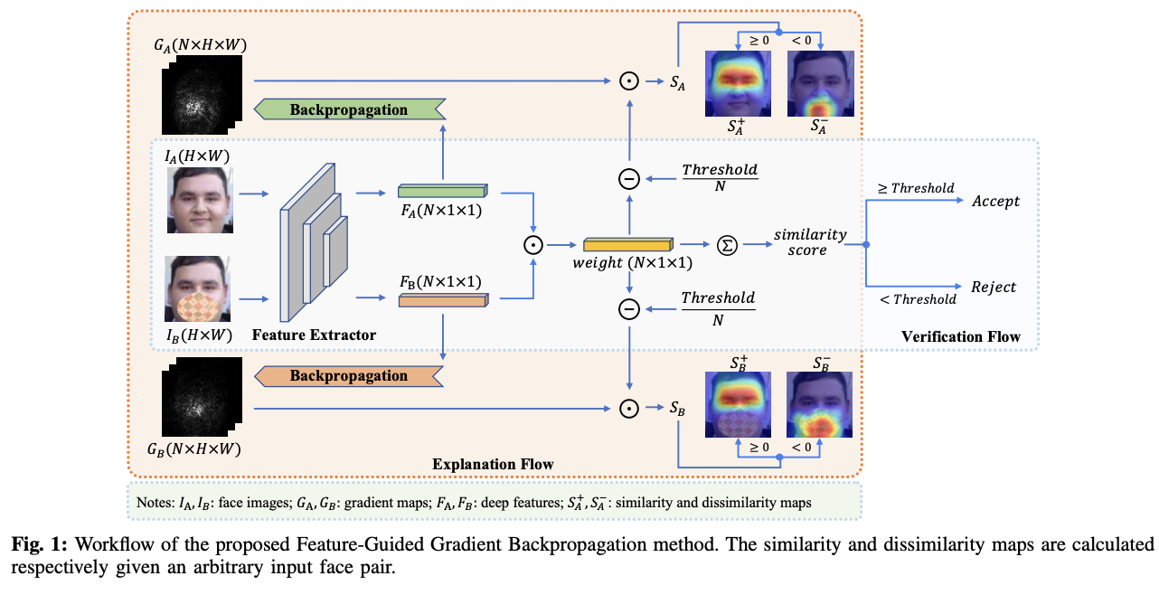FGGB Verification and Explanation Flow