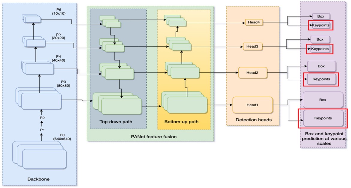 YOLO-Pose Architecture