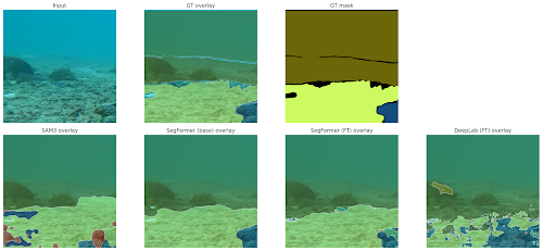 Qualitative comparison of segmentation outputs