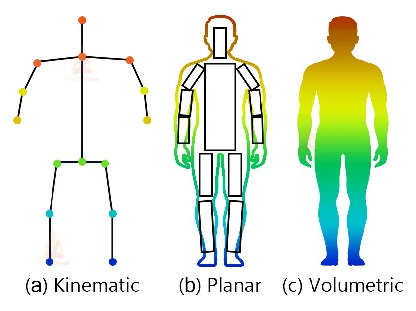 The three types of human body models