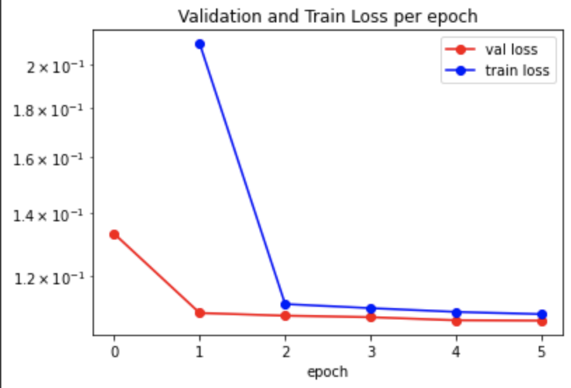 loss curves