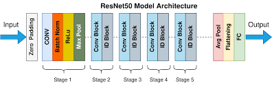 Resnet