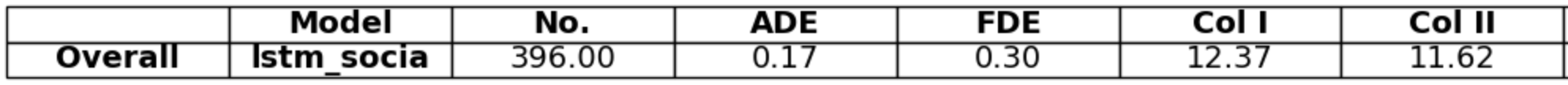 Social LSTM Results