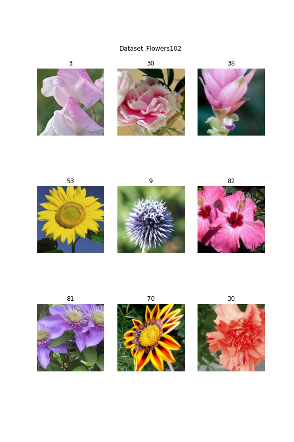 Dataset_Flowers102